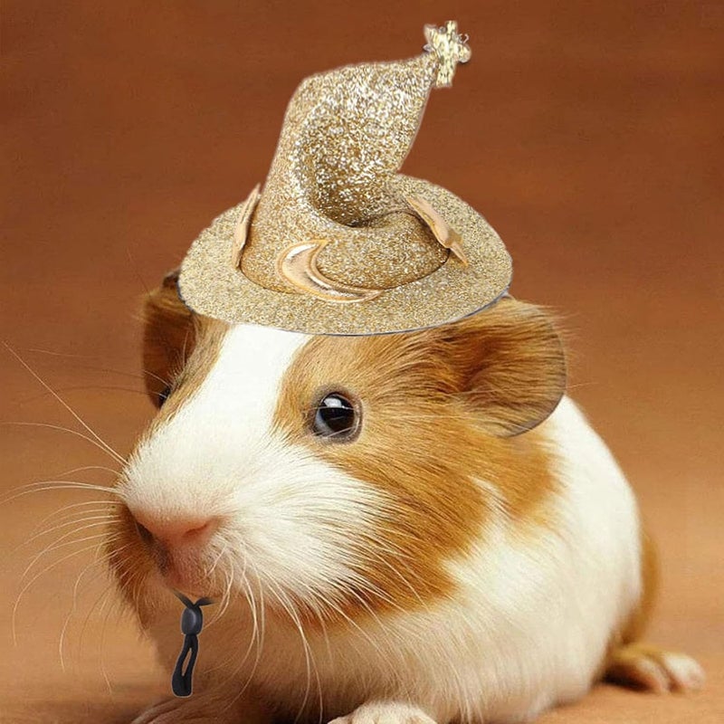 Soochat Pet Witch Hat Hamster Wizard Hat Mini Animals Hat for Snake, Hamster, Guinea Pig, Halloween Pet Costume Accessories (Gold) - Image 3